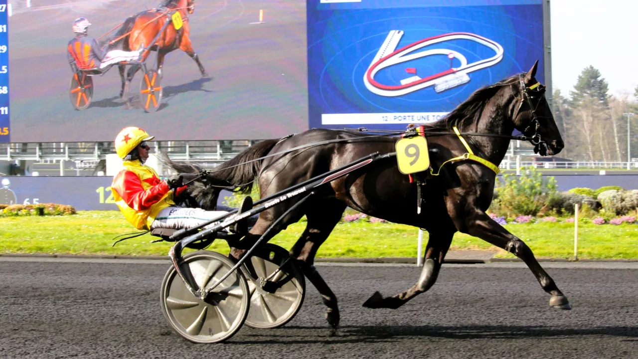 Pronostic presse du quinté du jeudi 25 décembre 2025