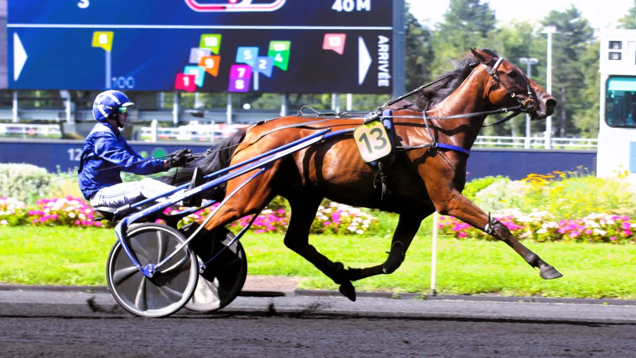 Pronostic quinté PMU du samedi 6 décembre 2025