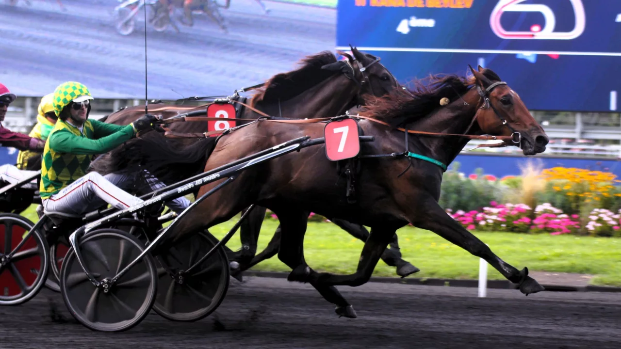 Pronostics presse Quinté du samedi 20 decembre 2025