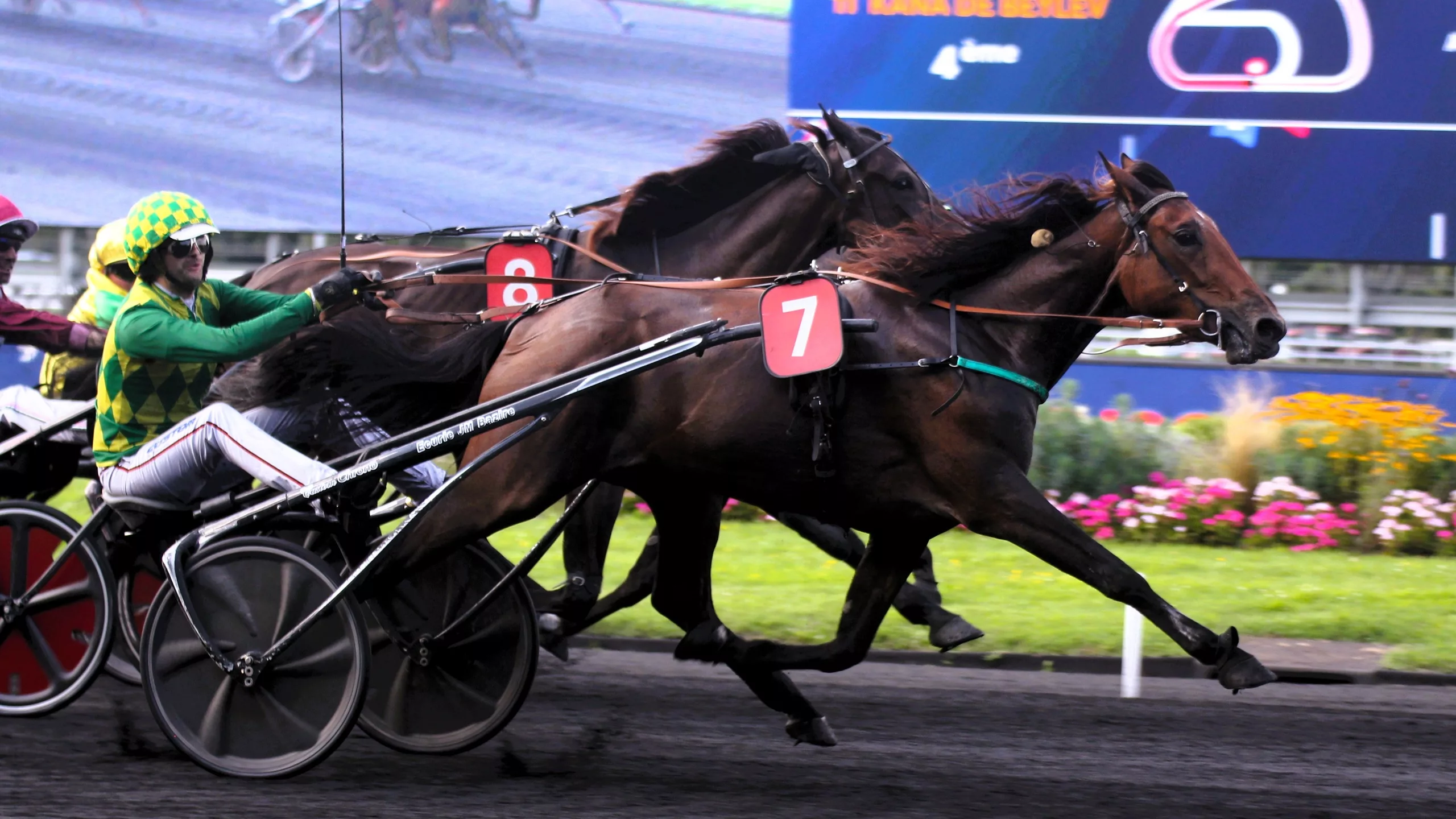 Pronostics presse Quinté du samedi 20 decembre 2025