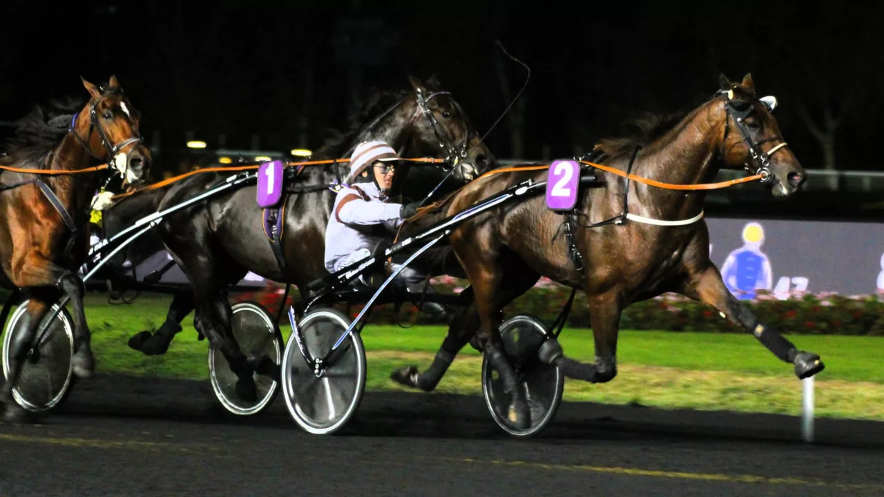 Pronostics presse Quinté du vendredi 19 décembre 2025