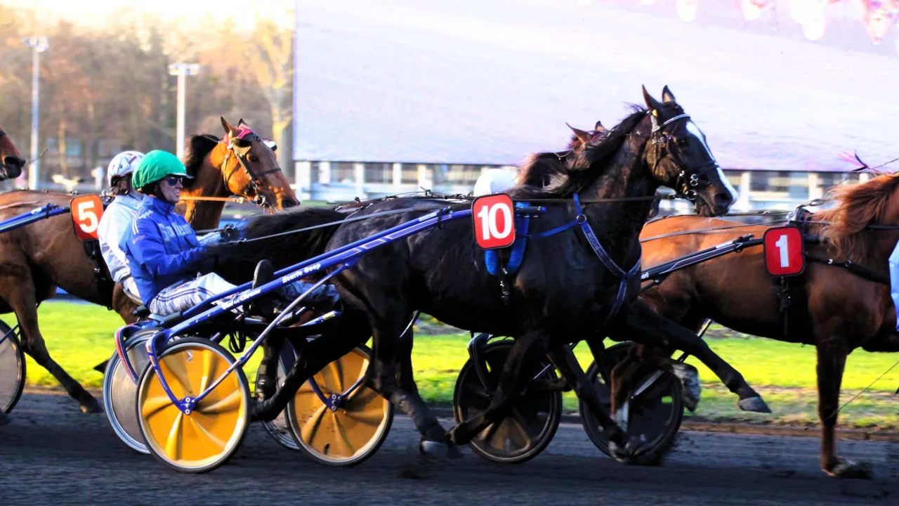 Pronostics quinté de la presse PMU