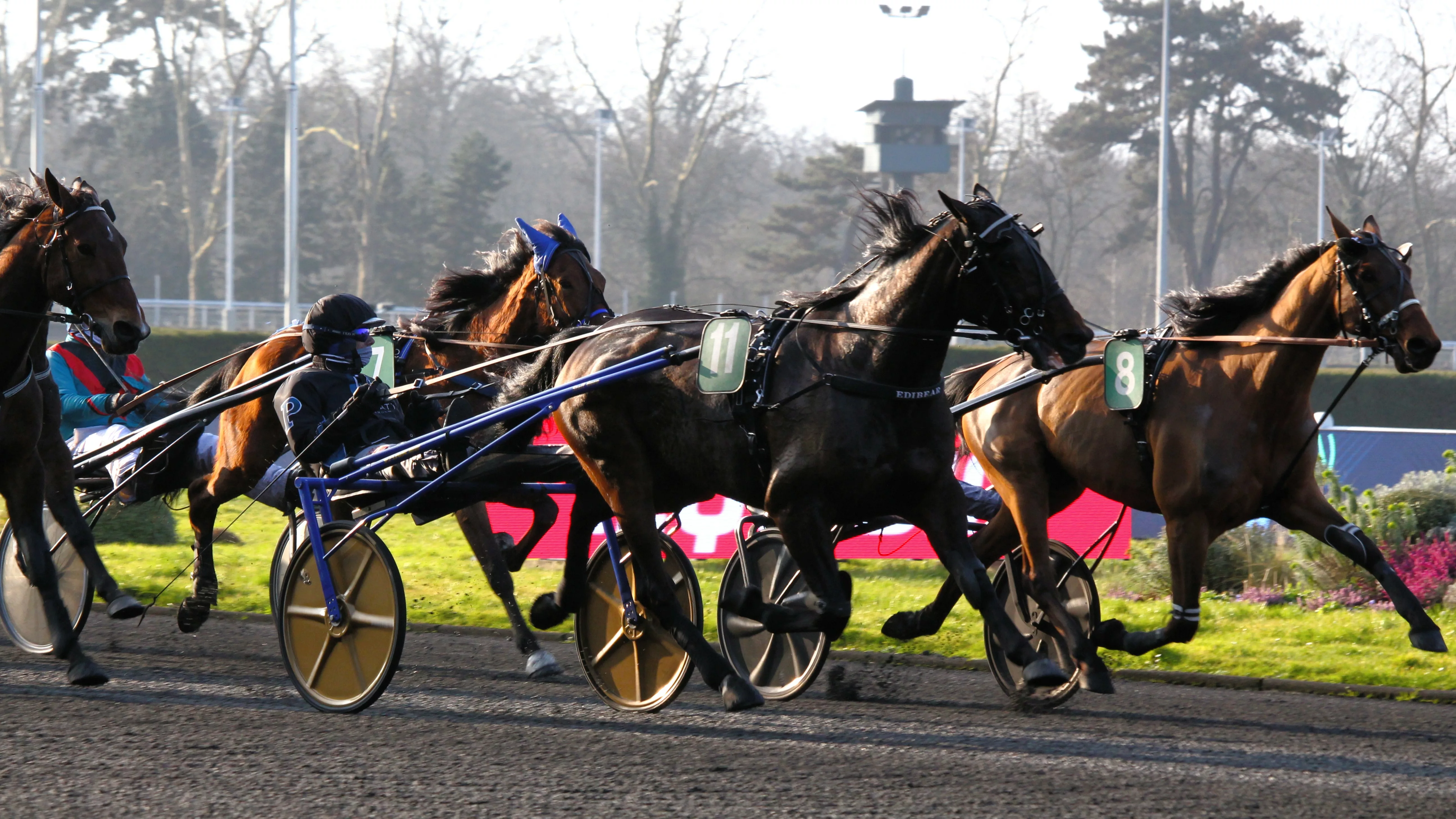 Quinté du mercredi 24 décembre 2025