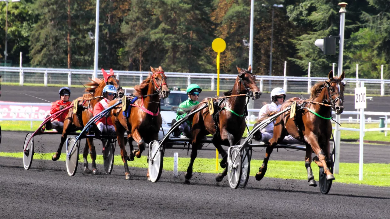 Arrivée du Quinté du mardi 6 janvier 2026