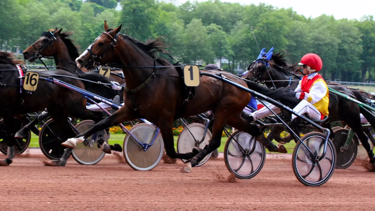 Pronostic Quinté du jeudi 8 janvier 2026