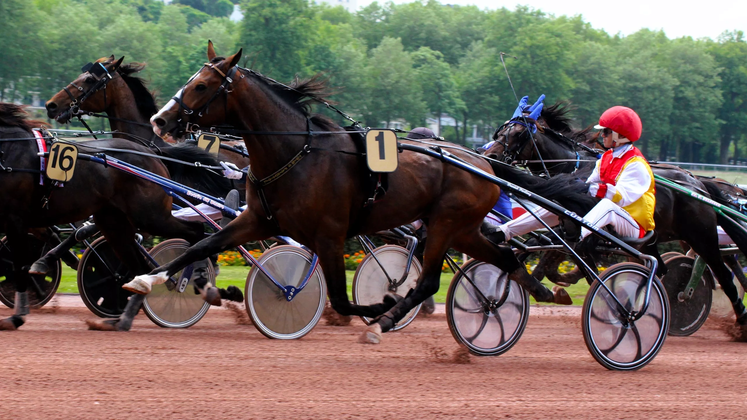 Pronostic Quinté du jeudi 8 janvier 2026