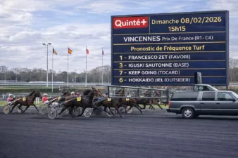 Quinté du dimanche 8 février 2026 au PMU les favoris de Fréquence Turf
