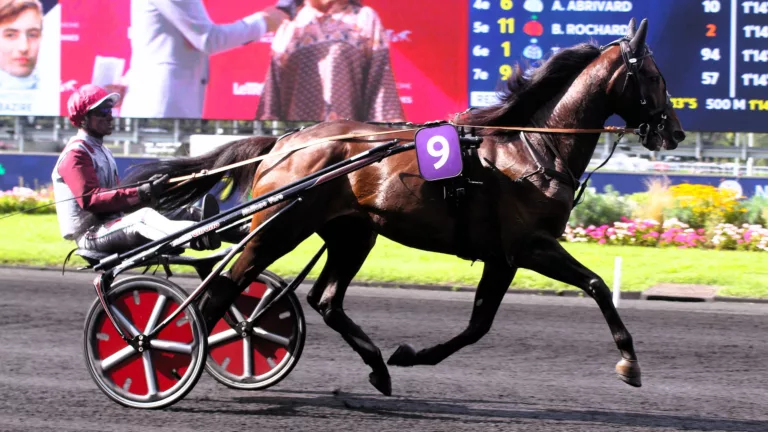 Résultat Pronostic cheval du jour septembre 2026